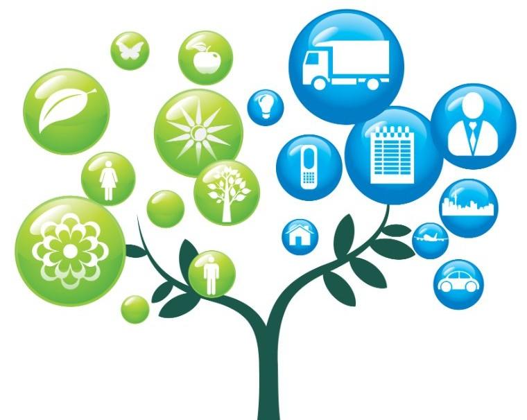 Environmental Health Management
